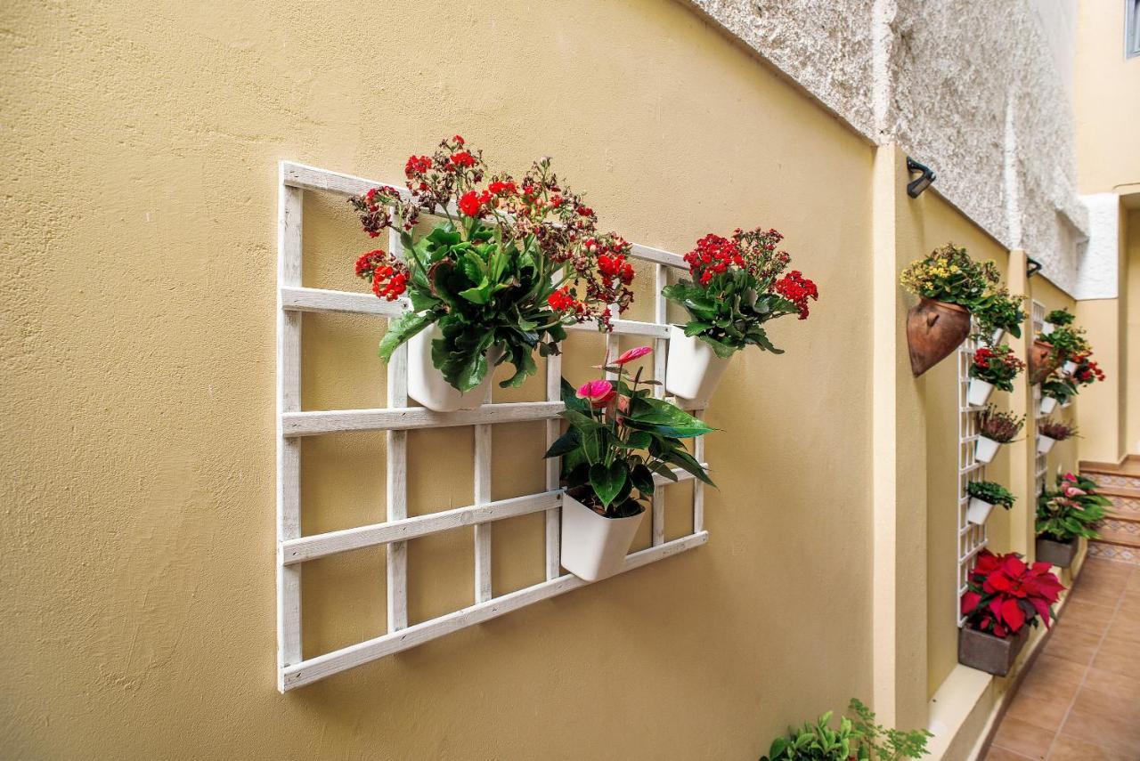 Las Sales Duplex Moya  Exterior photo
